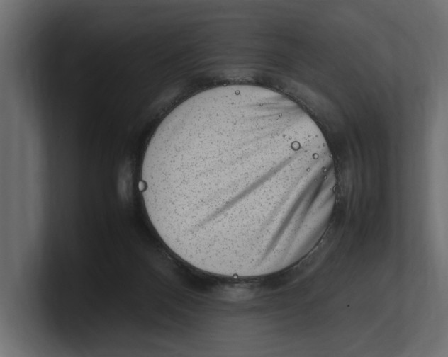 X0000100350120200806271410