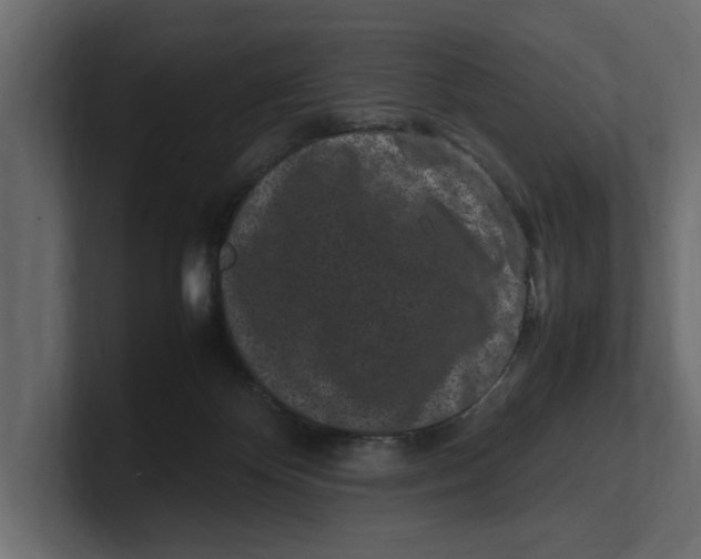 X0000100350124200806271410