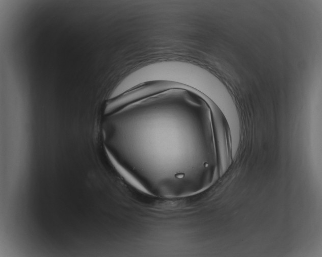 X0000100350129200806271410