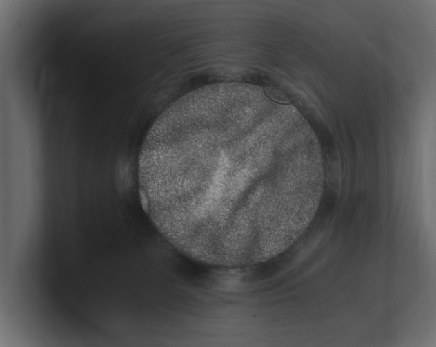 X0000100350131200806271410