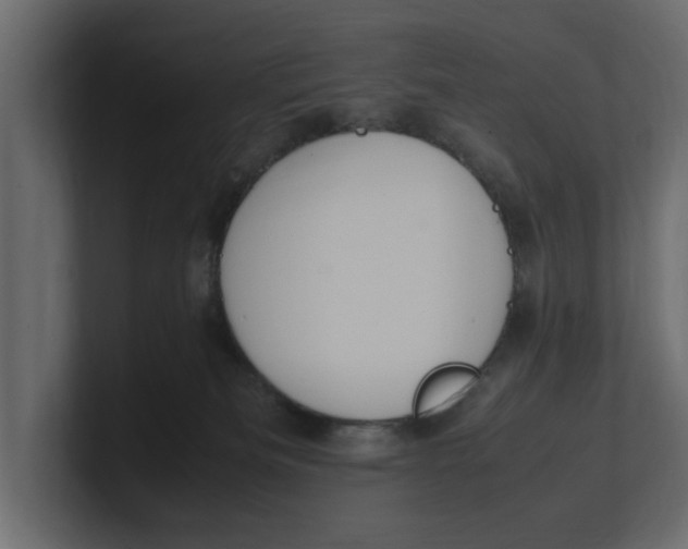 X0000100350133200806271410