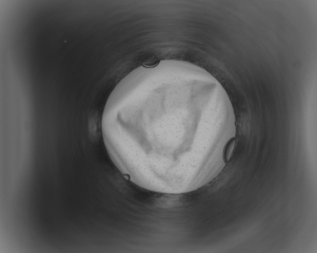 X0000100350138200806271410