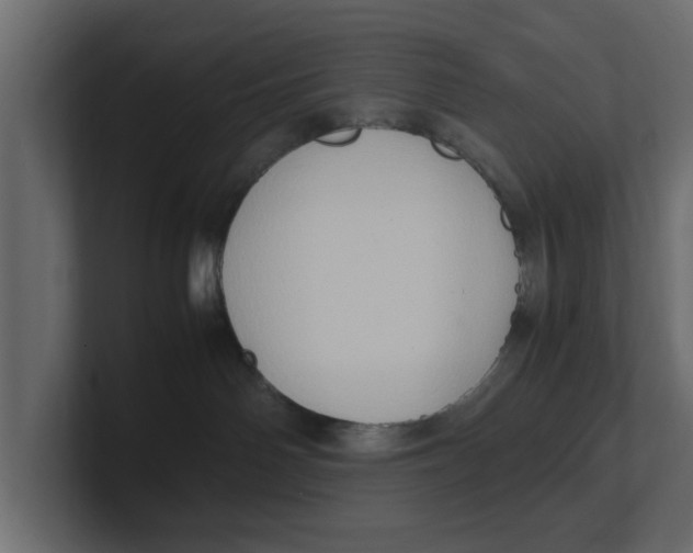 X0000100350142200806271410