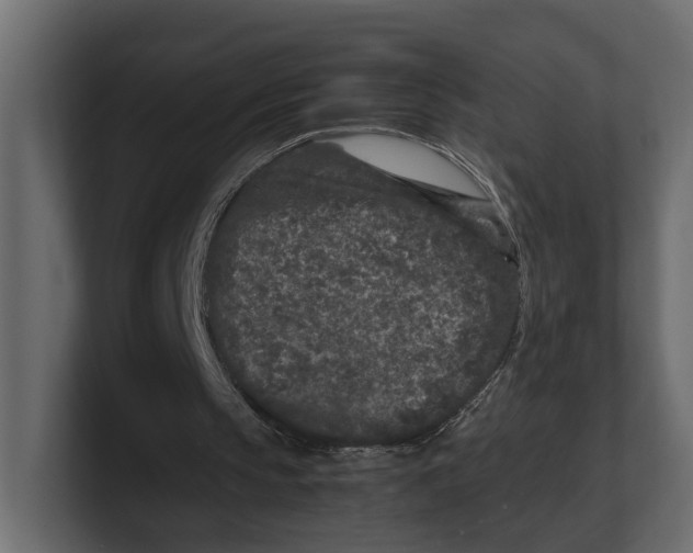 X0000100350145200806271409