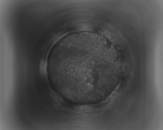 X0000100350146200806271409