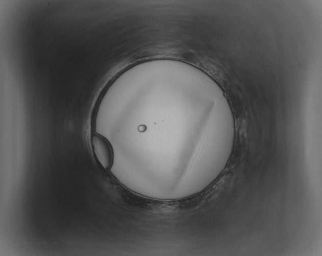 X0000100350148200806271409