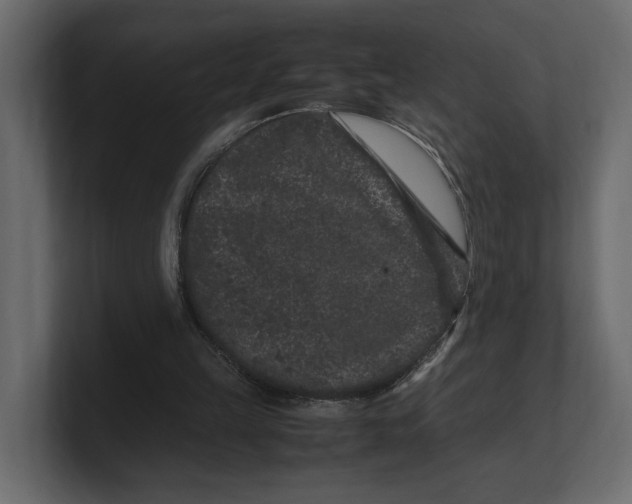 X0000100350149200806271409