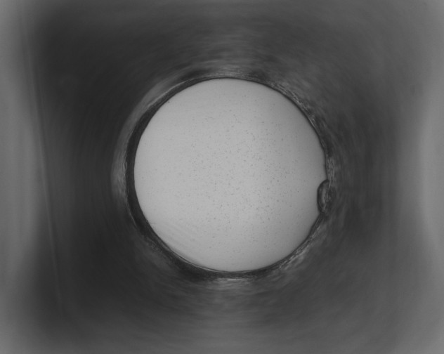 X0000100350150200806271409