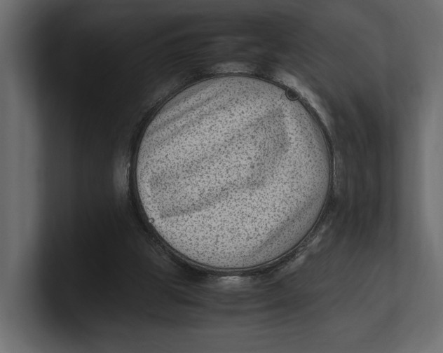 X0000100350153200806271409