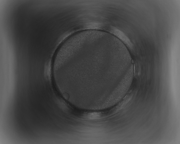 X0000100350156200806271409