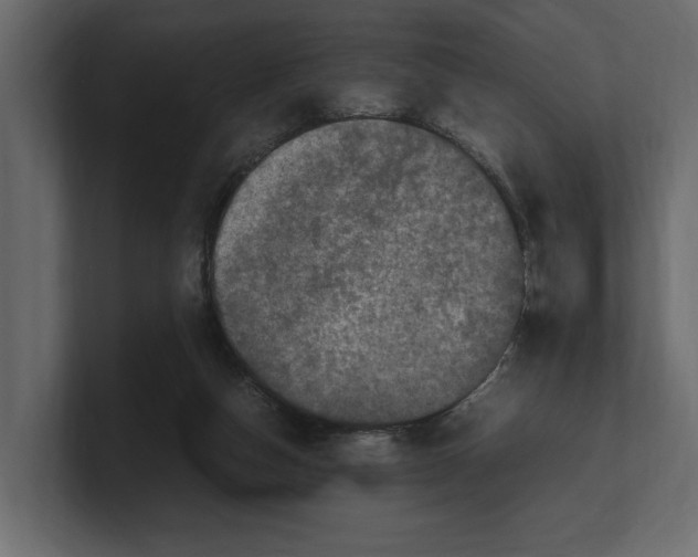 X0000100350162200806271410