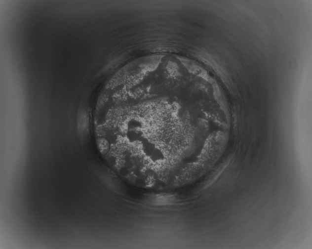 X0000100350165200806271410