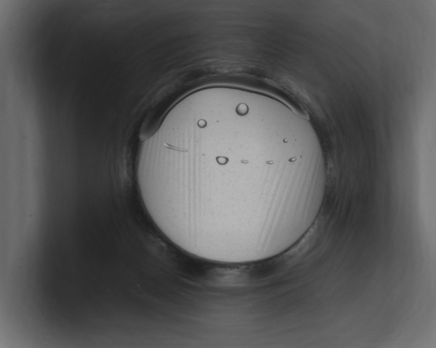 X0000100350170200806271410