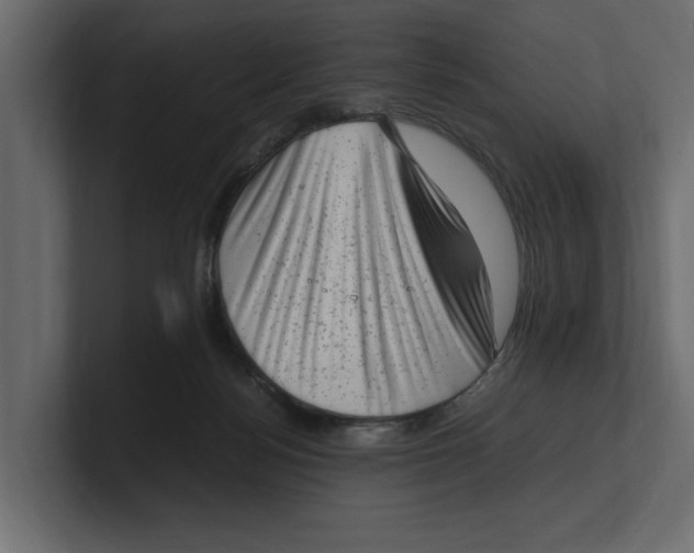 X0000100350172200806271410