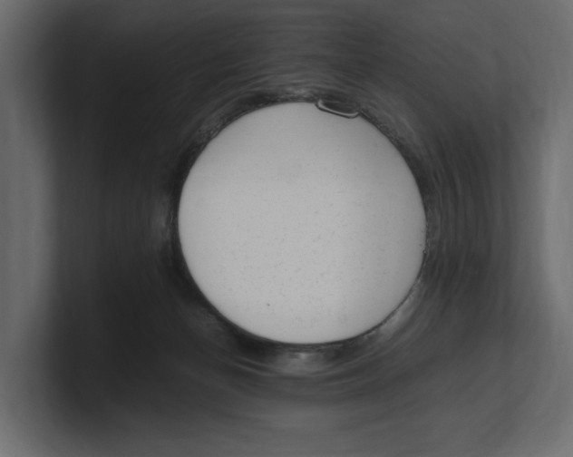 X0000100350174200806271410