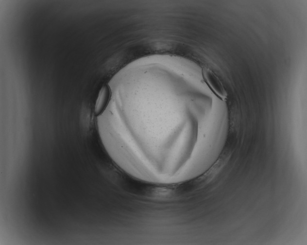 X0000100350176200806271410