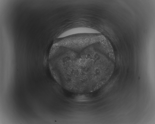 X0000100350177200806271410