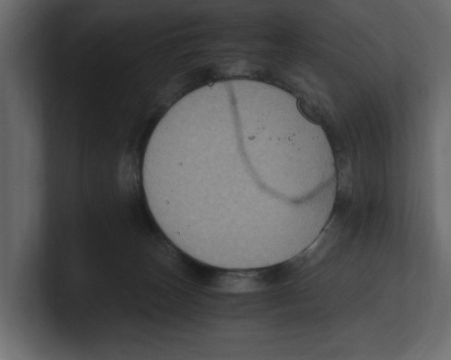 X0000100350179200806271410