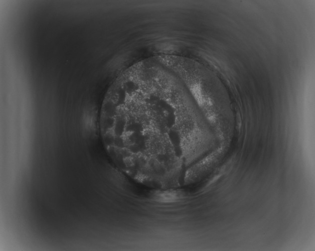 X0000100350181200806271410