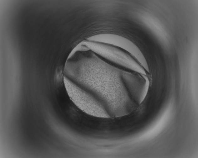 X0000100350190200806271410