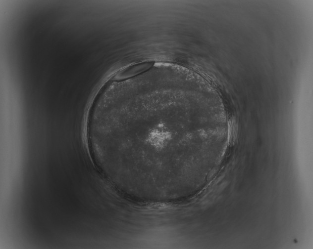 X0000100350195200806271409