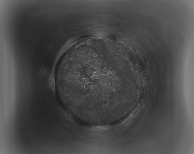 X0000100350198200806271409