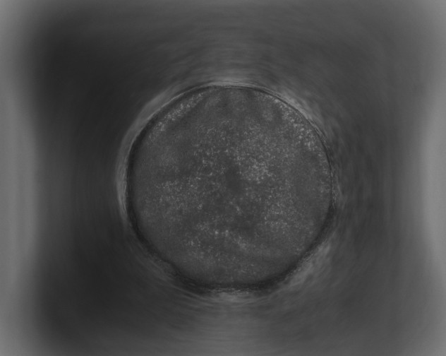 X0000100350199200806271409