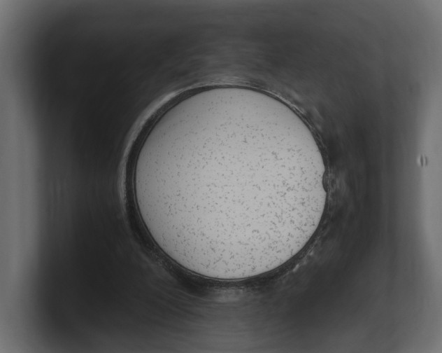 X0000100350200200806271409