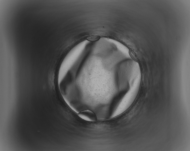 X0000100350201200806271409