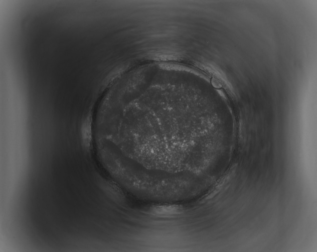 X0000100350202200806271409