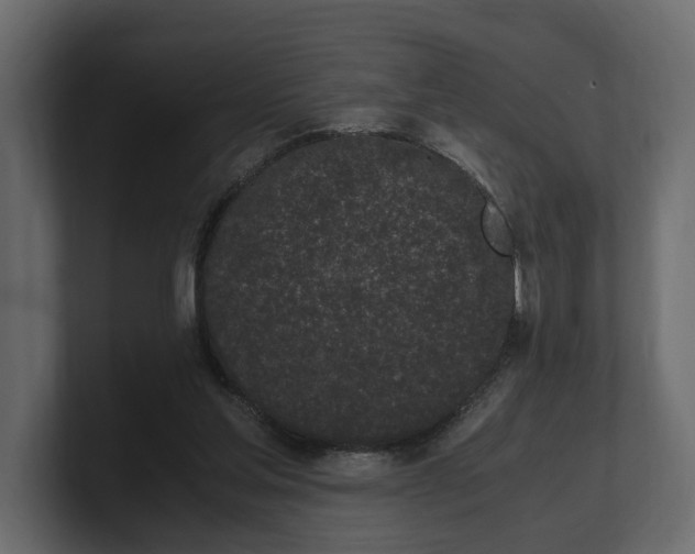 X0000100350205200806271409