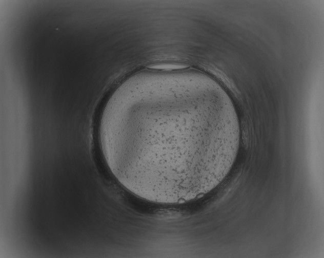 X0000100350207200806271409