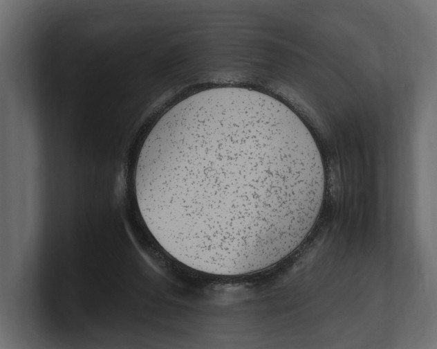 X0000100350208200806271409