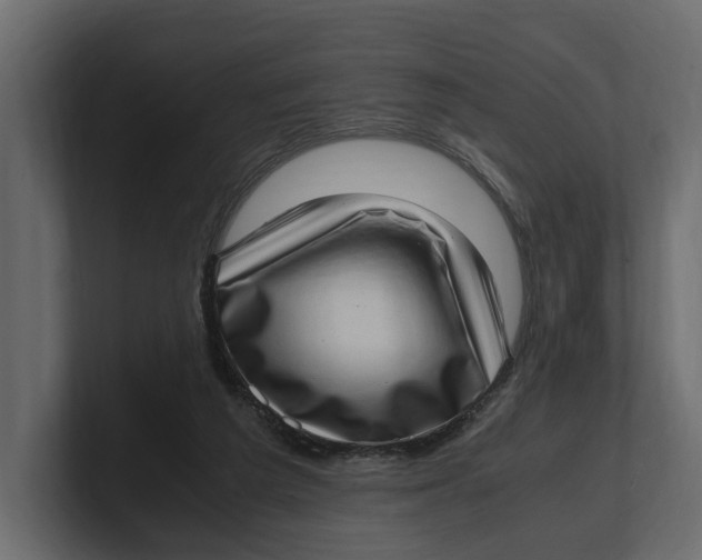 X0000100350209200806271409