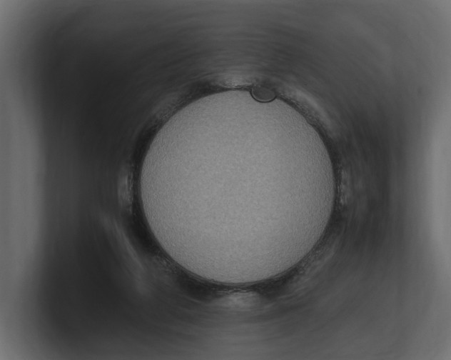 X0000100350210200806271409