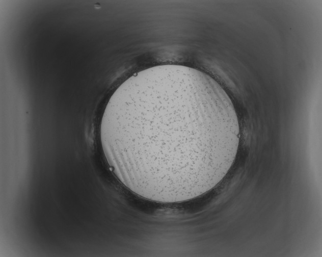 X0000100350211200806271409