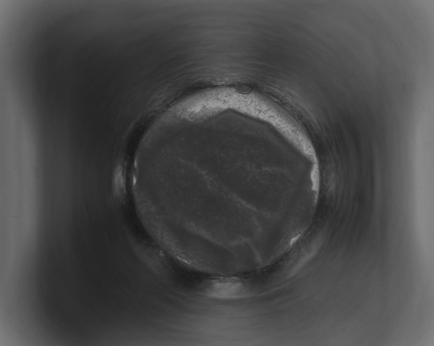 X0000100350214200806271409