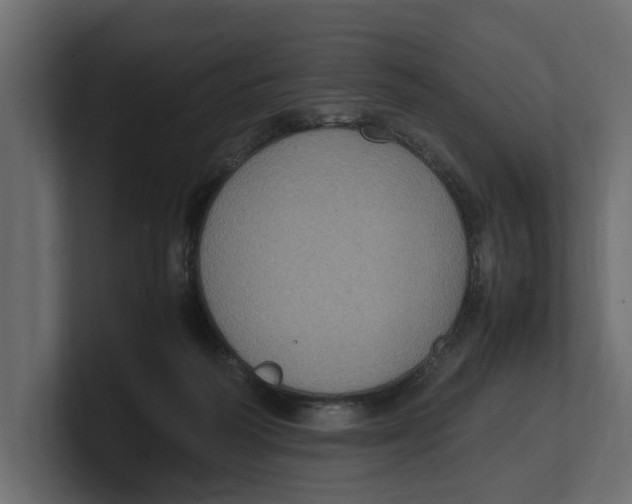 X0000100350218200806271409