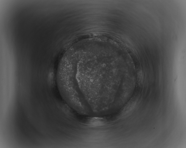 X0000100350222200806271409