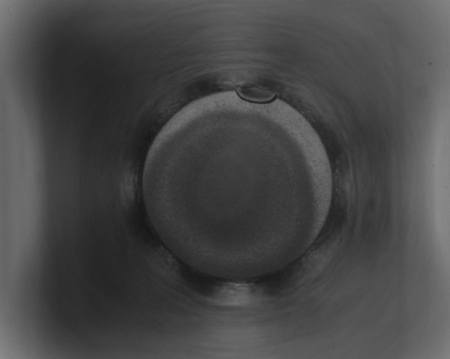 X0000100350227200806271409