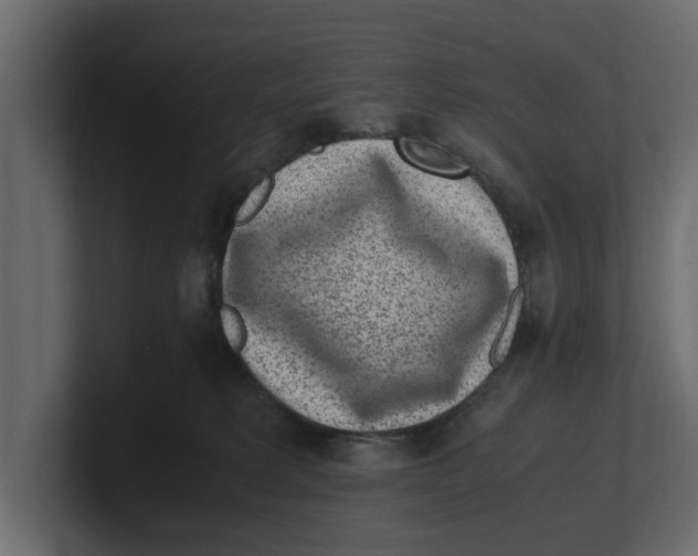 X0000100350229200806271409