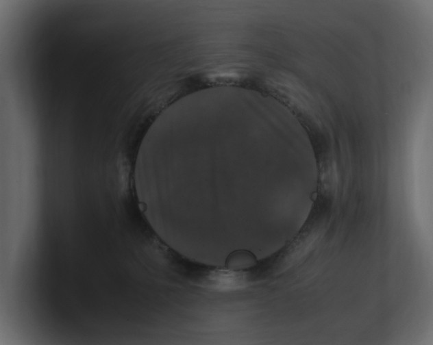 X0000100350231200806271409