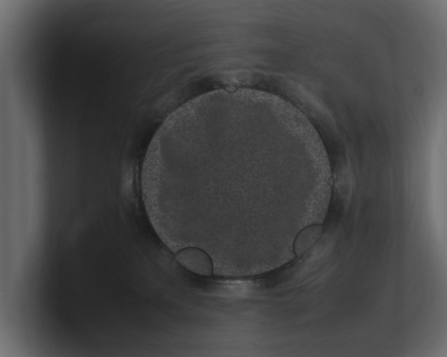 X0000100350233200806271409