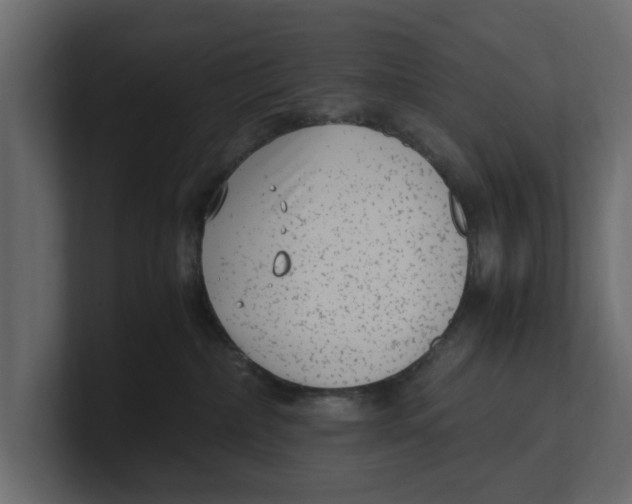 X0000100350236200806271409