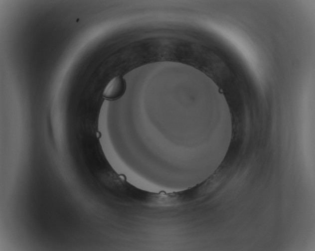 X0000100350239200806271409