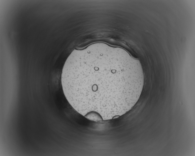 X0000100350240200806271409