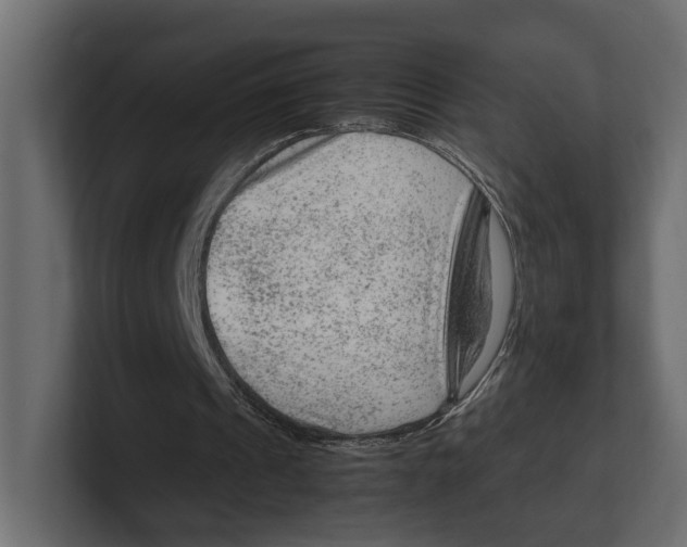 X0000100350241200806271408