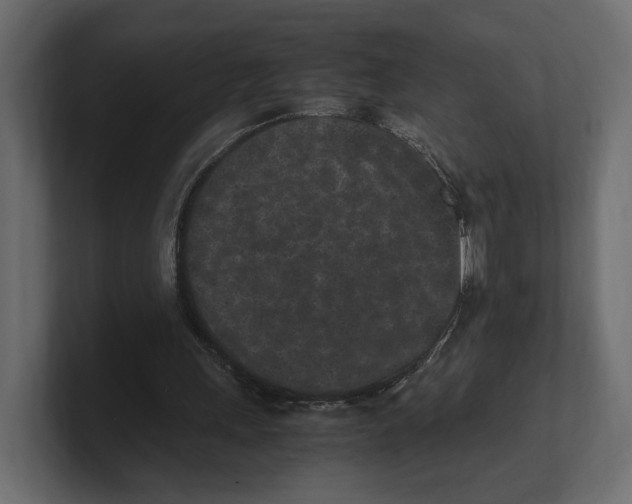 X0000100350243200806271408