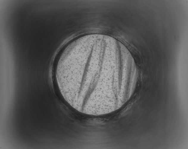 X0000100350244200806271408