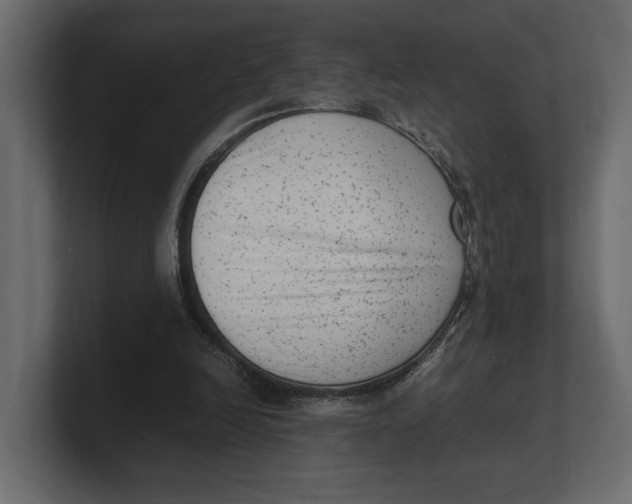 X0000100350246200806271408